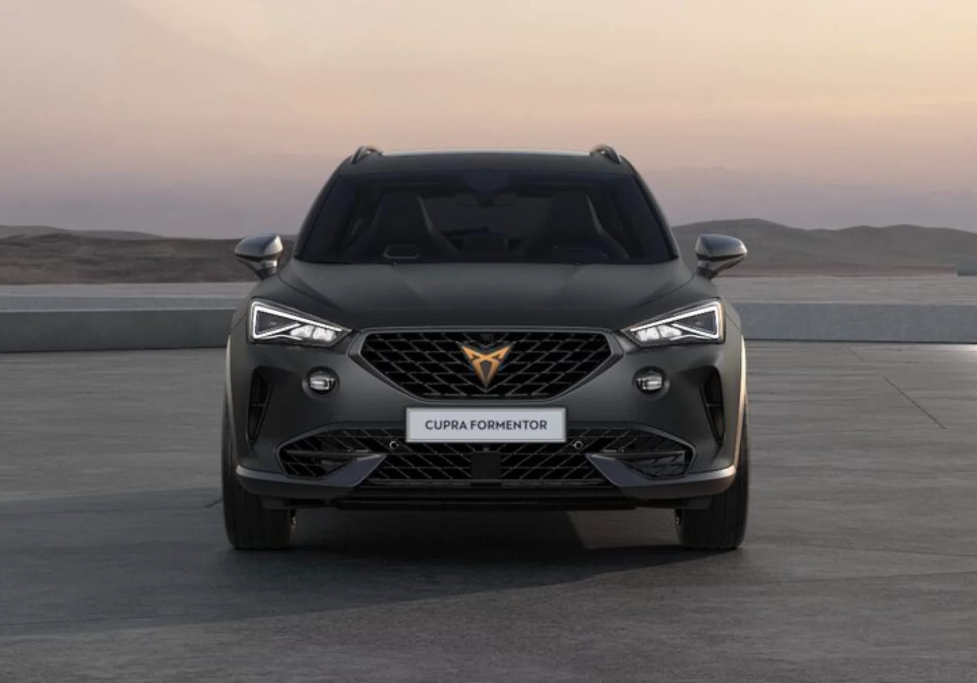 Cupra Formentor 2.0 TSI DSG (DELETED) — zdjęcie 8