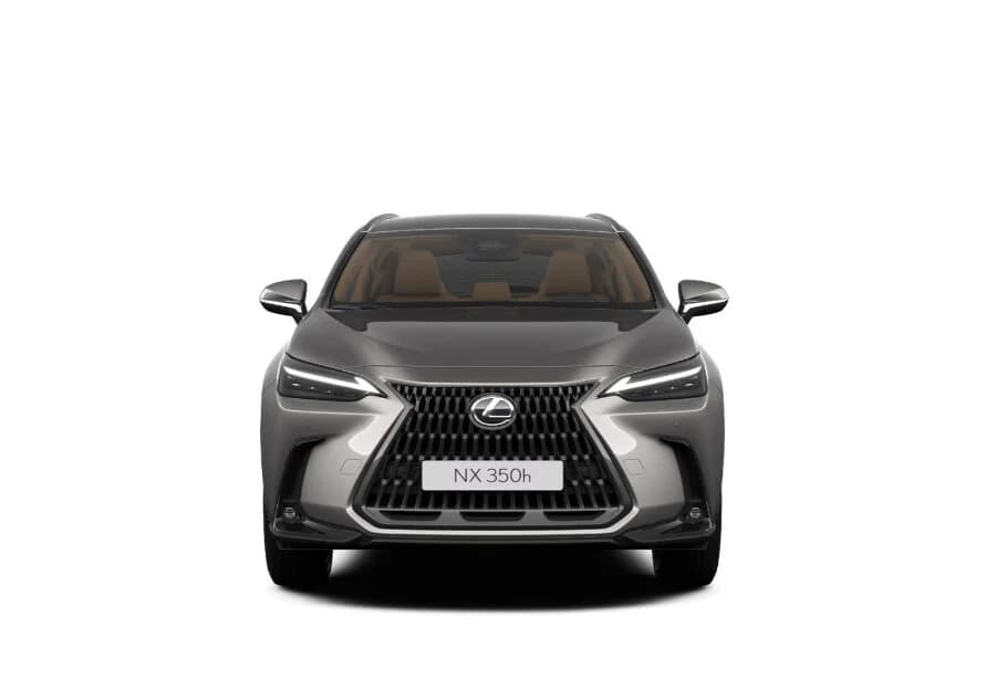 Lexus NX — zdjęcie 8