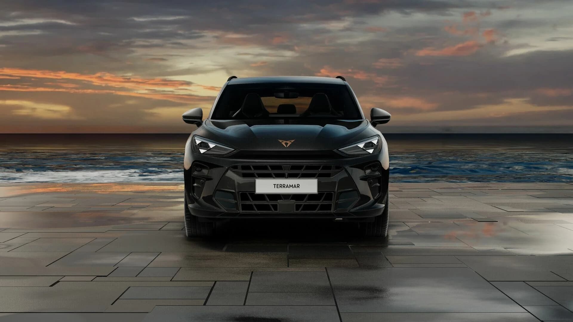 Cupra Terramar VZ 2.0 TSI (DELETED) — zdjęcie 2