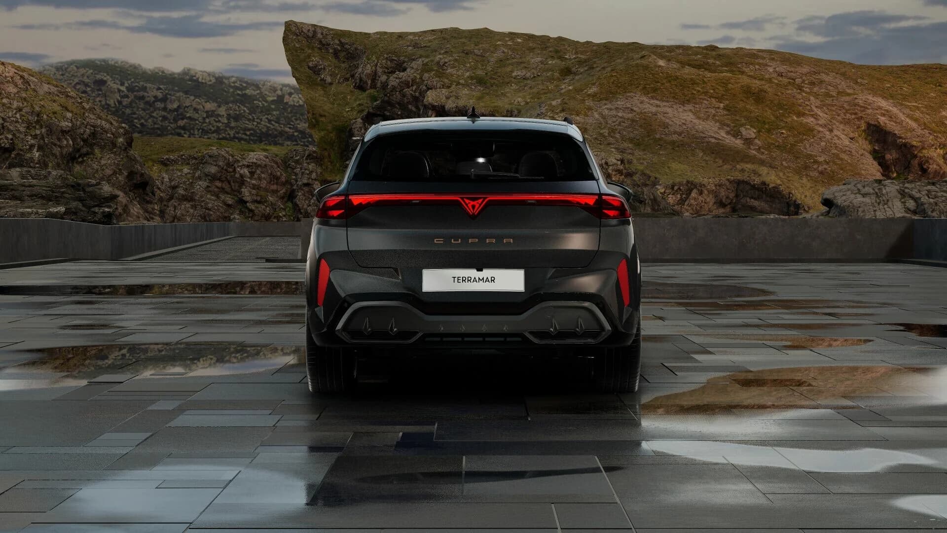 Cupra Terramar VZ 2.0 TSI (DELETED) — zdjęcie 5