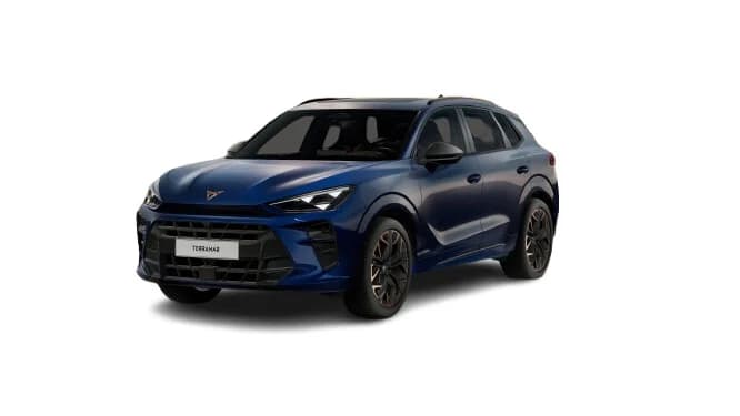 Cupra Terramar VZ 2.0 TSI (DELETED) — zdjęcie 1