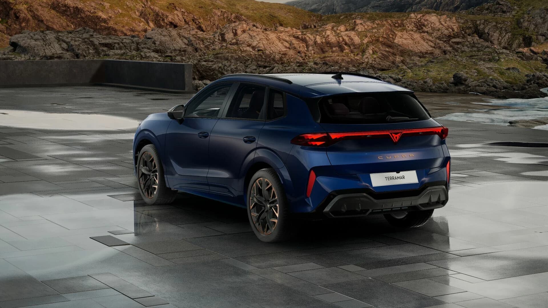 Cupra Terramar VZ 2.0 TSI (DELETED) — zdjęcie 4