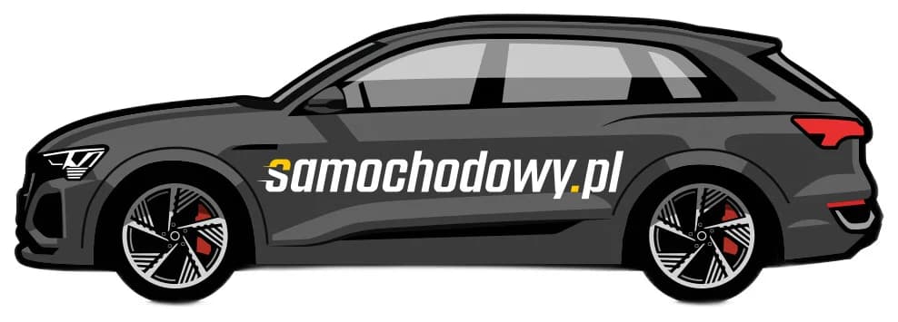 DS Automobiles test (DELETED) — zdjęcie 6