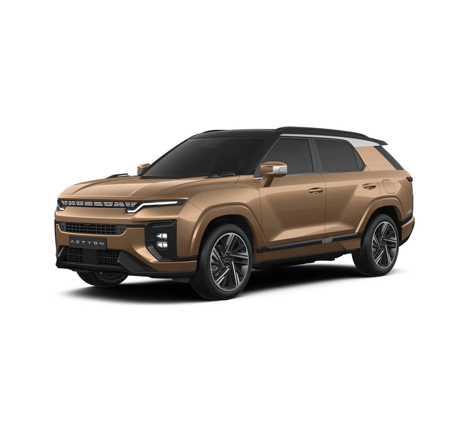 KGM Actyon Wild 4WD — zdjęcie 1