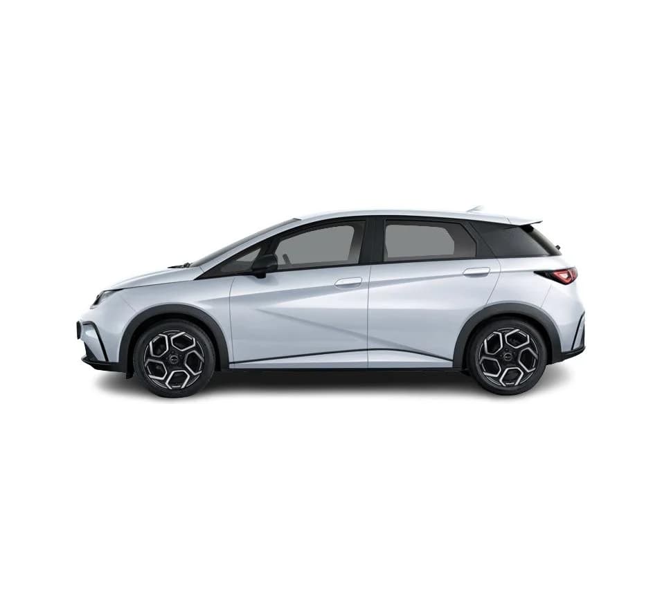 BYD Dolphin Design — zdjęcie 2