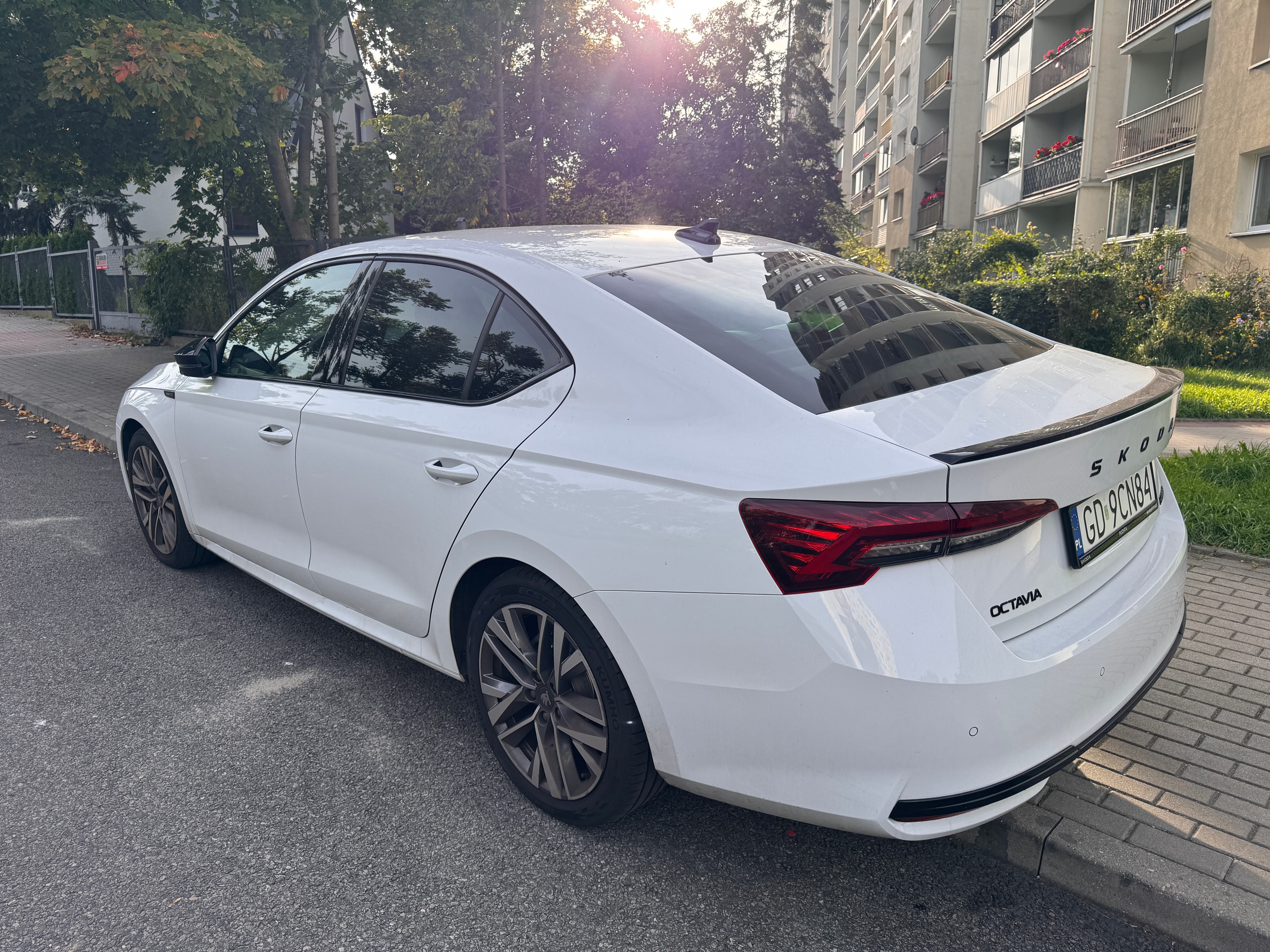 Skoda Octavia Sportline 1.5 mHEV — zdjęcie 5