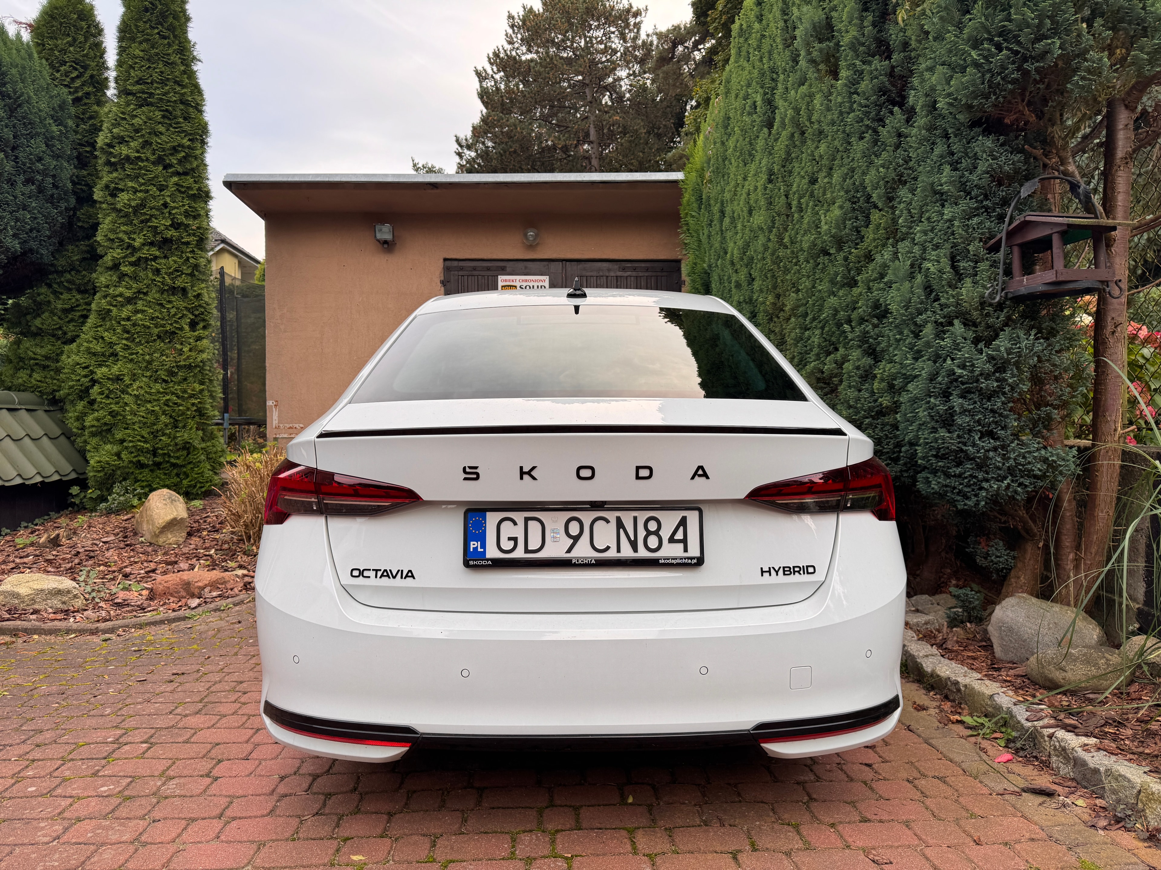Skoda Octavia Sportline 1.5 mHEV — zdjęcie 3